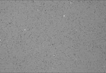 Grigio Galaxy Quartz